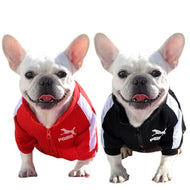Designer Winter Pet Dog Sweatshirt Clothes for Small Medium Dogs Marginseye.com