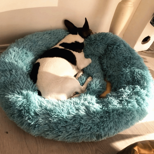 Long Plush Super Soft Dog Bed Pet Kennel Round Sleeping Bag Lounger Marginseye.com
