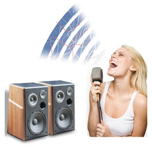 Cargar imagen en el visor de la galería, 8/10 Inch 200W Wooden Speaker Woofer 4ohm KTV Speaker Treble Home Singing Audio

