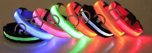 LED Pet Collar Marginseye.com